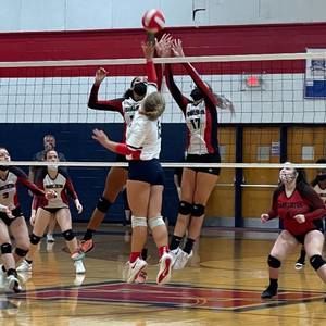 Meet your Posher, Abbie